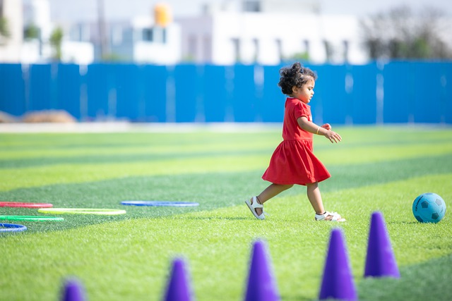 比例中可以 比例中可以