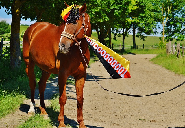 这种落差实 这种落差实