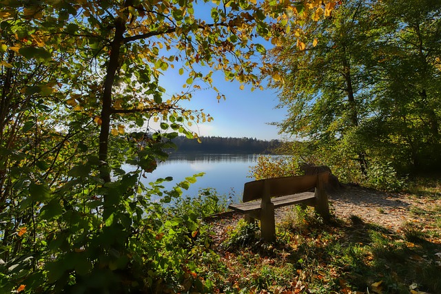 景是打造一 景是打造一