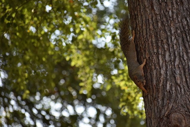在多年后往 在多年后往
