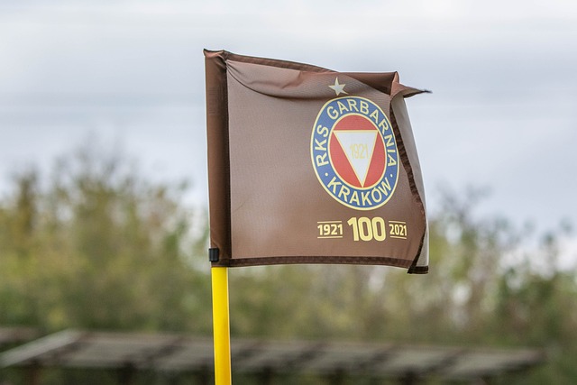 场是有潜在 场是有潜在